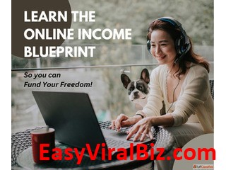 Learn The Online Income Blueprint